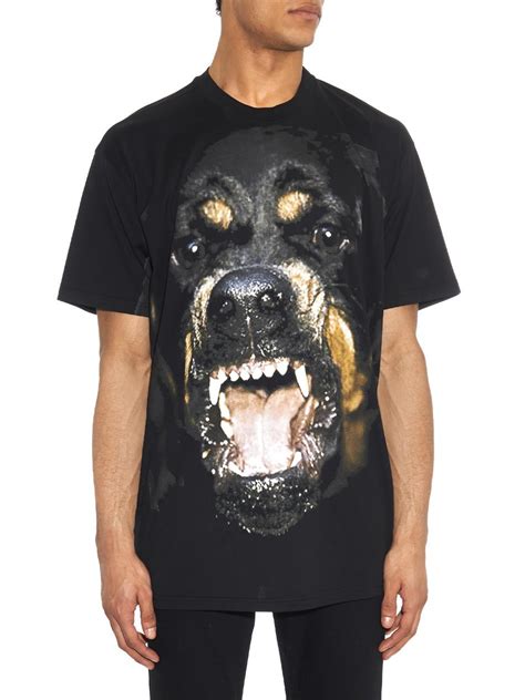 givenchy rottweiler polo|Givenchy rottweiler shirt for sale.